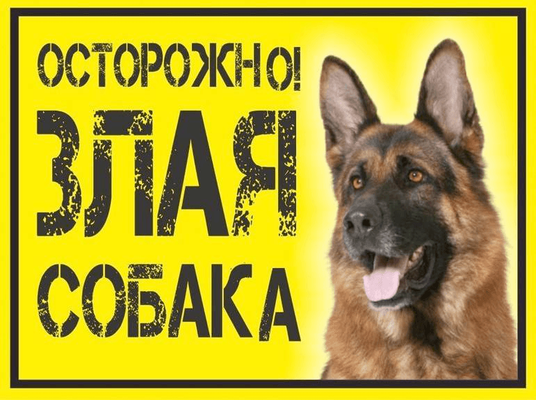 dog poster