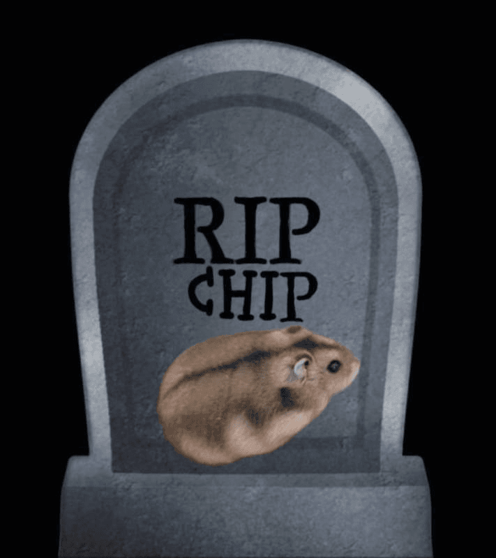 gravestone chip