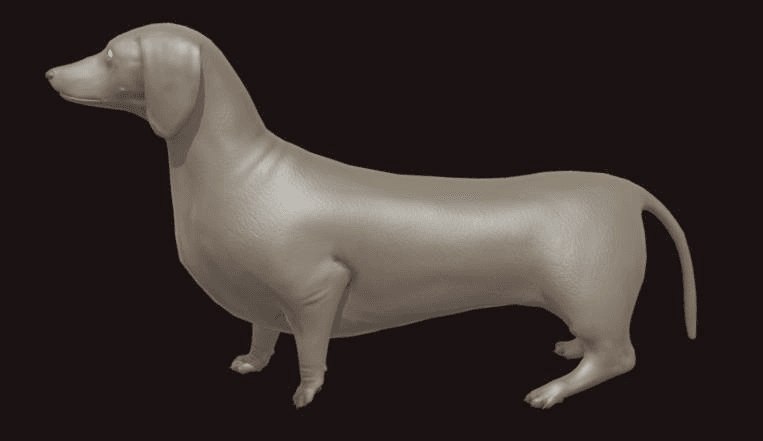 3d dog model