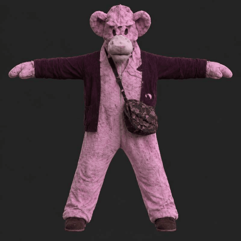 pig costume