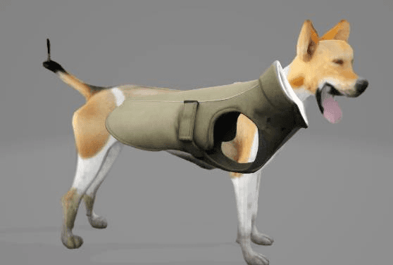 dog harness