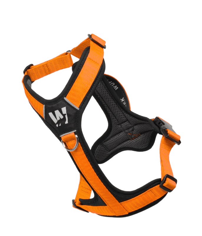 harness