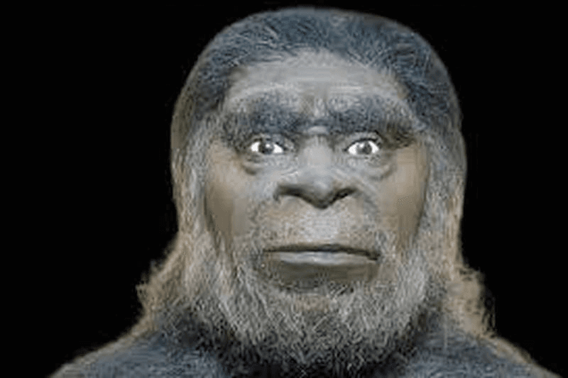 fake ape head