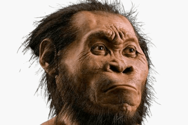 facial reconstruction