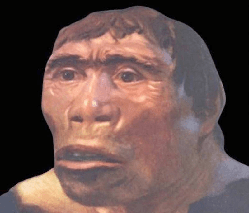 plastic mannequin head
