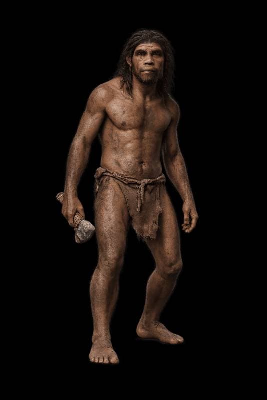 stone tool