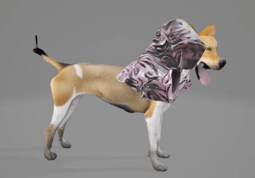 dog raincoat