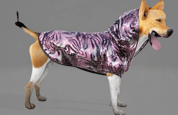 dog raincoat