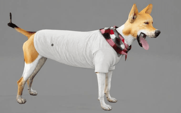 dog model