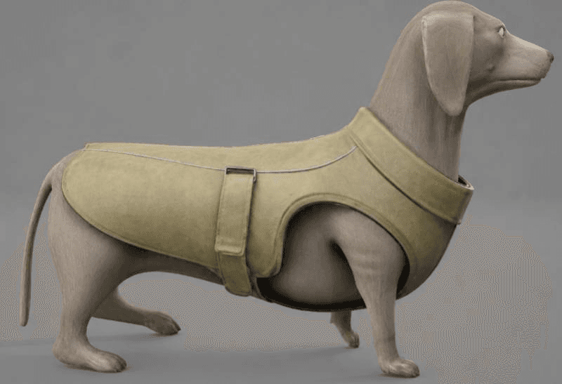 dog coat