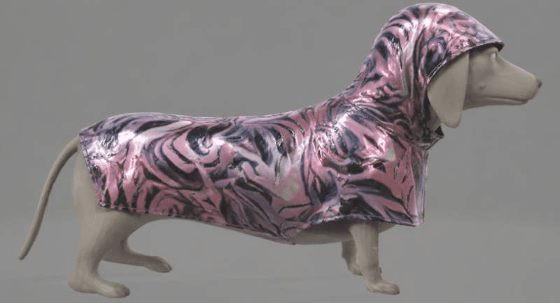 dog raincoat