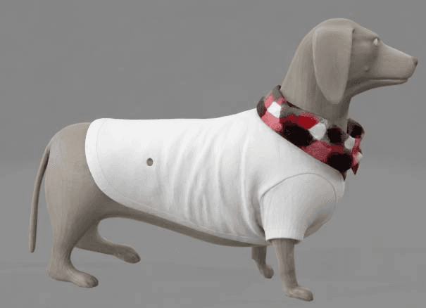 dog costume