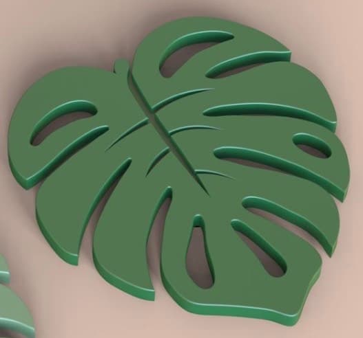 monstera leaf