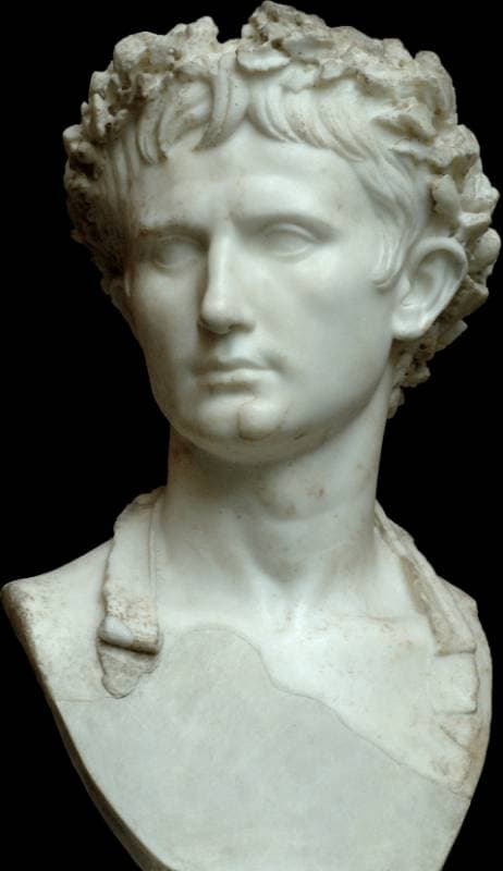 bust