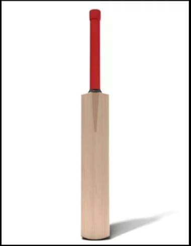 wooden cricket bat