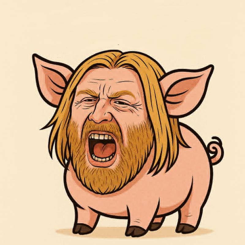 pig with beard