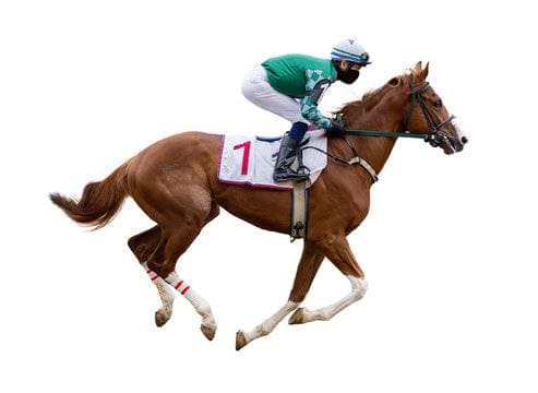 horse race jockey