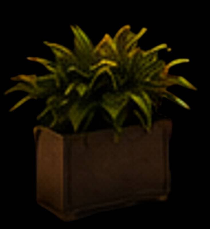 plant pot
