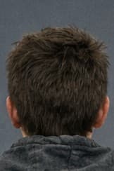 back of a person's head with short brown hair